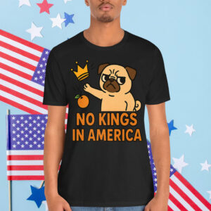 No Kings In America Funny Retro Animal T-Shirt
