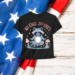 No Kings In America Just Vibes Funny Raccon Meditation T-Shirt