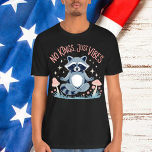 No Kings In America Just Vibes Funny Raccon Meditation T-Shirt