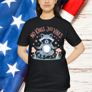 No Kings In America Just Vibes Funny Raccon Meditation T-Shirt