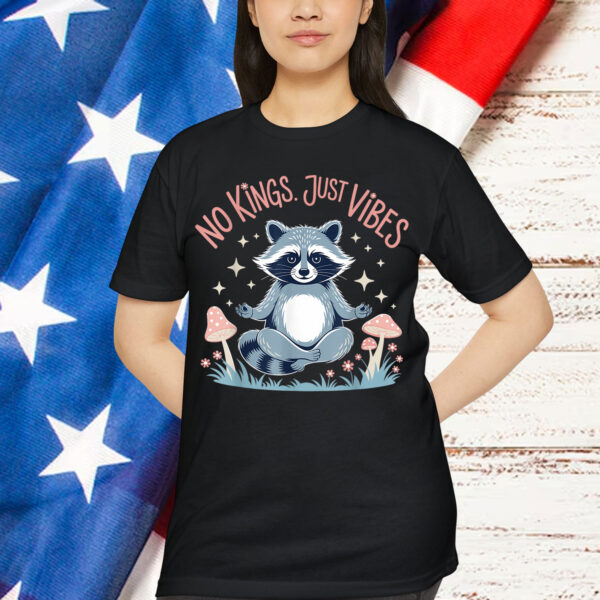 No Kings In America Just Vibes Funny Raccon Meditation T-Shirt