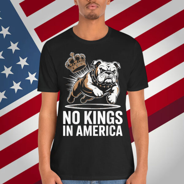 No Kings In America Political Men Women USA T-Shirt