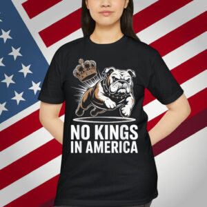 No Kings In America Political Men Women USA T-Shirt