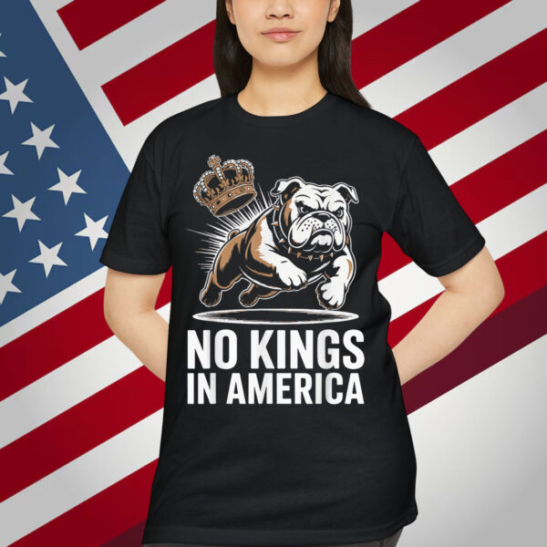 No Kings In America Political Men Women USA T-Shirt