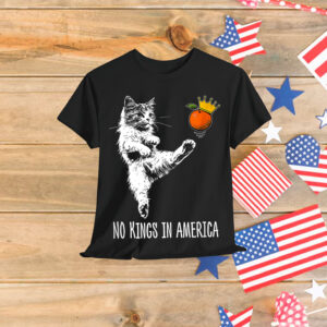 No Kings In America We The People Political T-Shirt