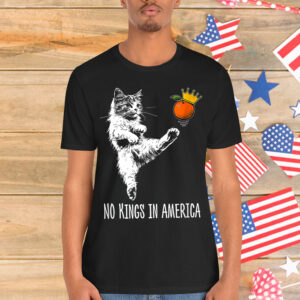 No Kings In America We The People Political T-Shirt