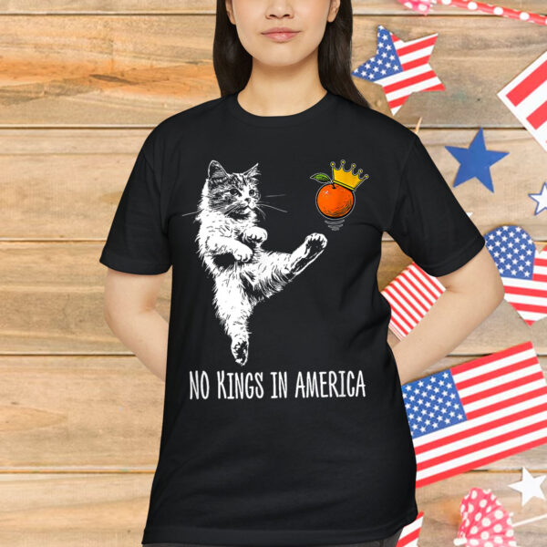 No Kings In America We The People Political T-Shirt