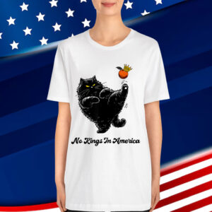 No Kings In America We The People Political Shirt