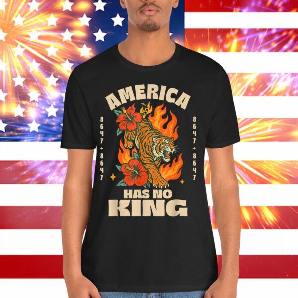 No Kings in America 8647 Vintage Boho Orange Tiger T-Shirt