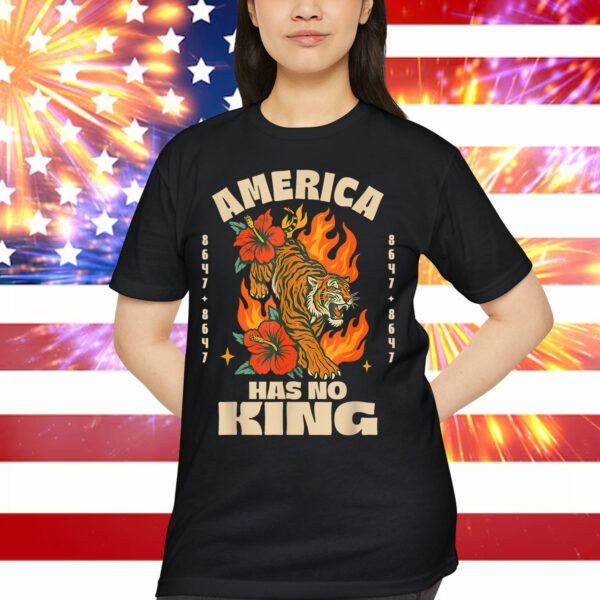 No Kings in America 8647 Vintage Boho Orange Tiger T-Shirt