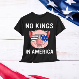 Patriotic Pro Democracy June 14 No Kings In America T-Shirt