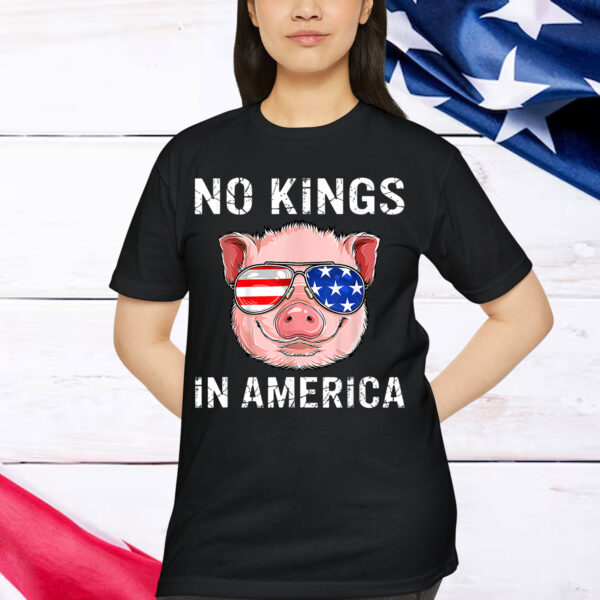 Patriotic Pro Democracy June 14 No Kings In America T-Shirt