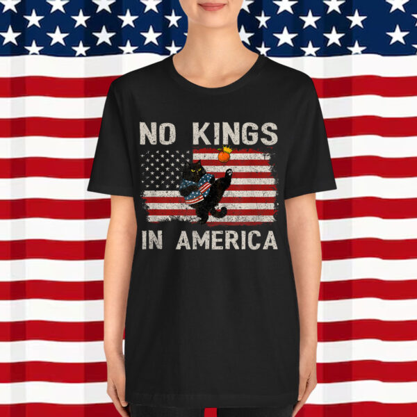 No Kings In Democracy America Shirt