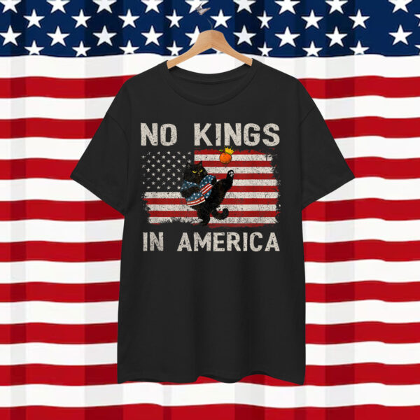 No Kings In Democracy America Shirt