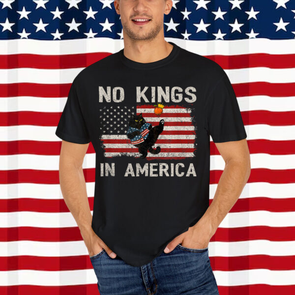No Kings In Democracy America Shirt